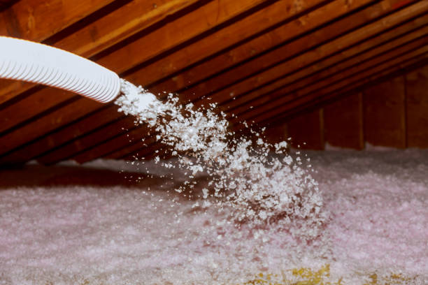 Best Insulation Removal  in Robesonia, PA