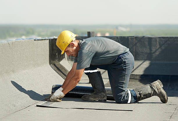 Best Professional Insulation Contractor  in Robesonia, PA