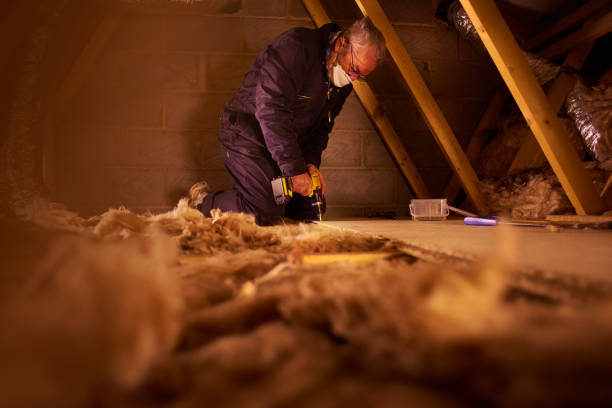 Best Home Insulation Services  in Robesonia, PA